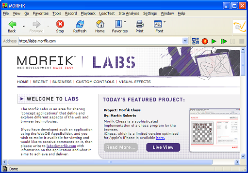 Starting Page for Morfik Example