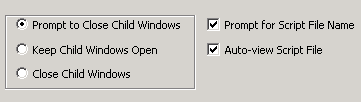 Section of Record Settings Showing Child Window Processing